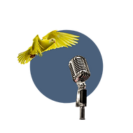 Collage of a yellow bird flying toward a vintage microphone
